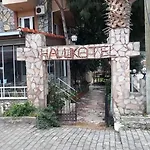 Haluk *