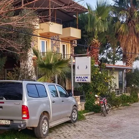 Haluk *