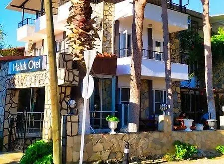 Haluk Hotel *