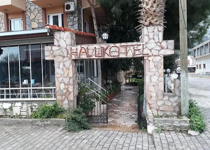 Haluk *