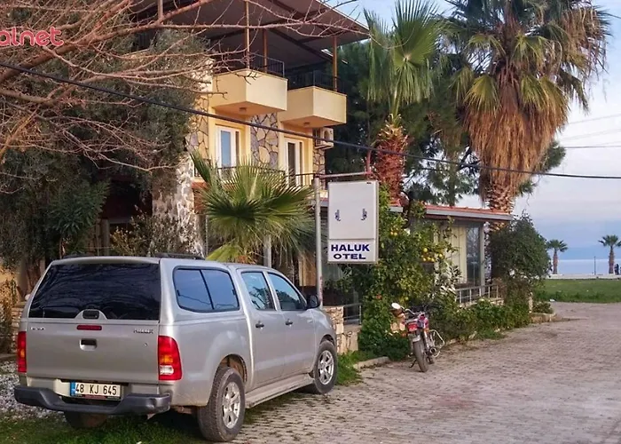 Haluk *