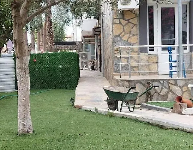Haluk Oren (Milas)