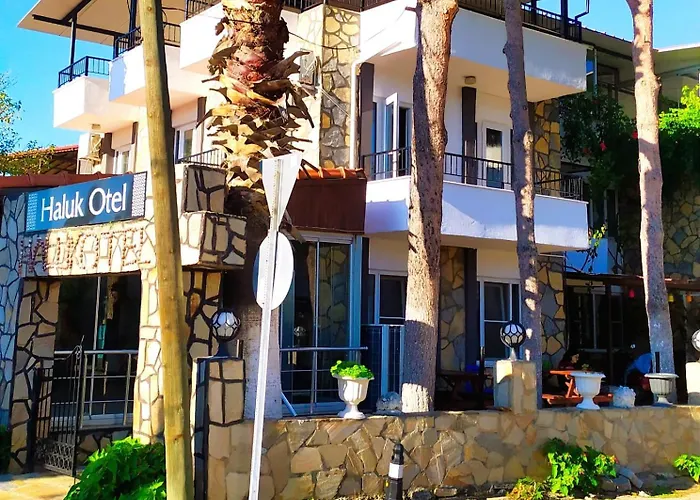 Hotel Haluk Oren (Milas)